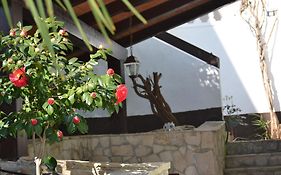Villa Verde Apartments&Rooms